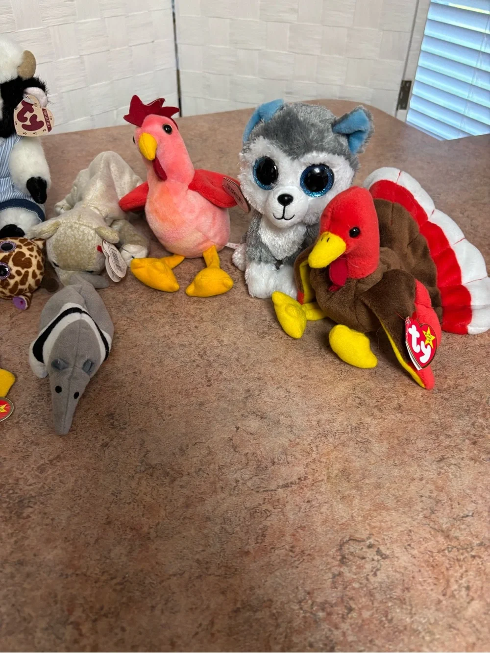 Bundle of 14 Ty Beanie Babies